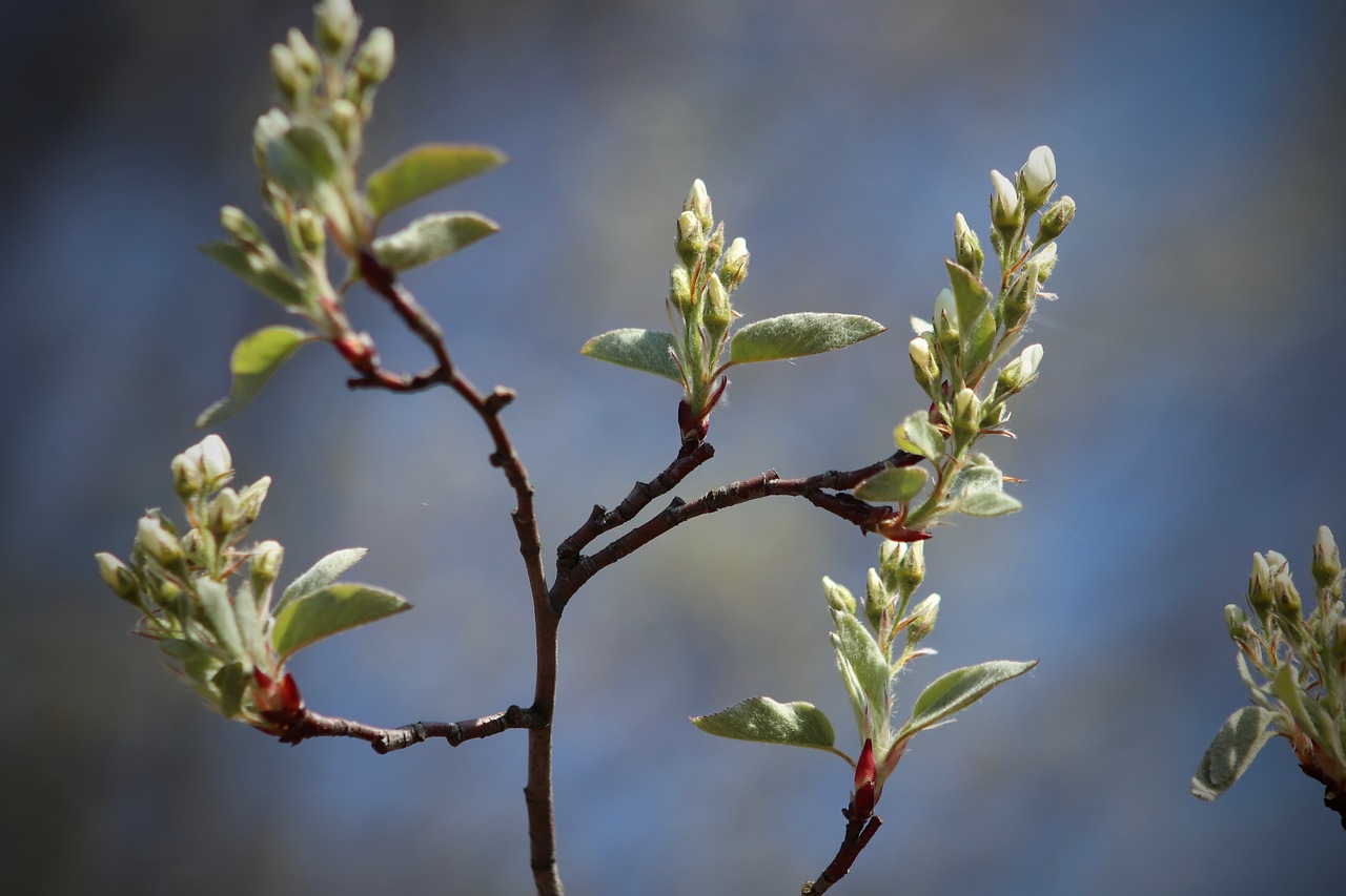 Pruning 101: When and How to Prune